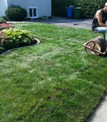 realisation paysagiste millette gazon